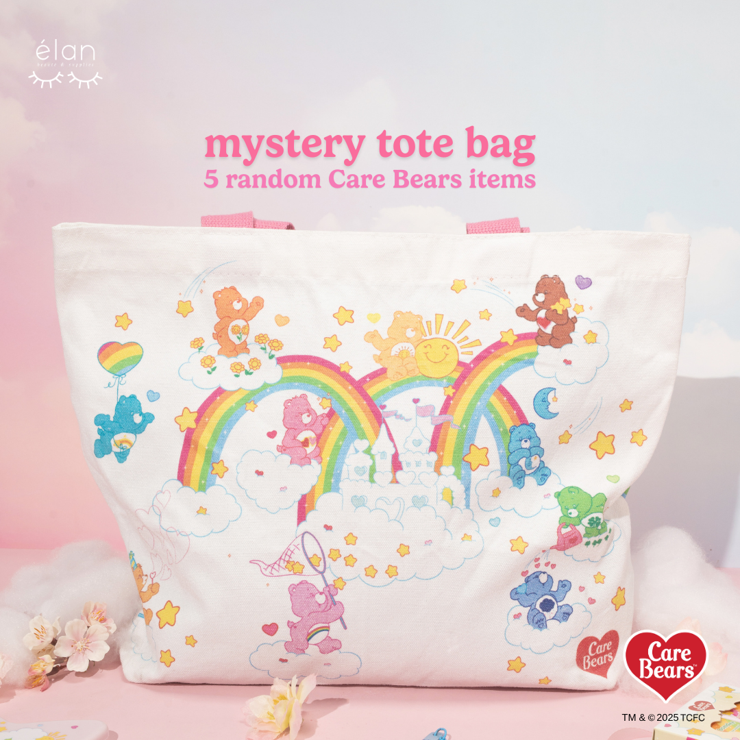 CARE BEARS mystery tote bag