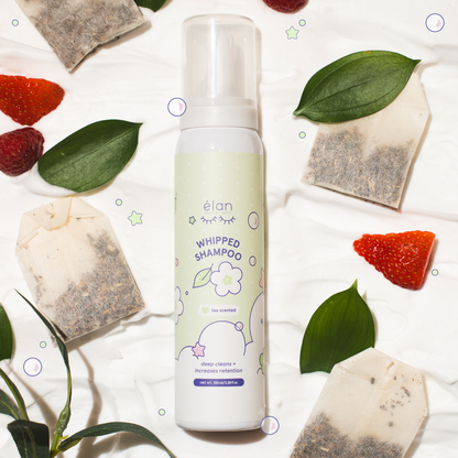 whipped lash shampoo