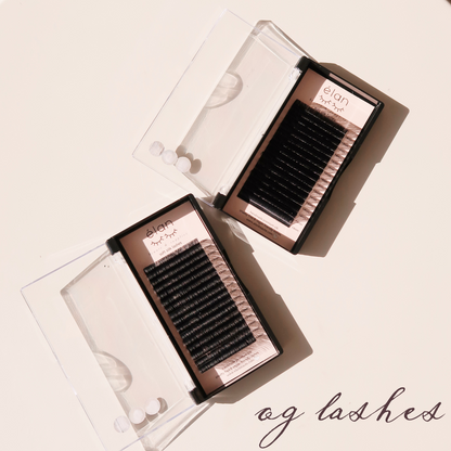 0.03 SOFT SILK lash trays 🌟