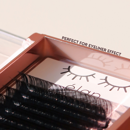 0.07 CASHMERE MINK lash trays 💫