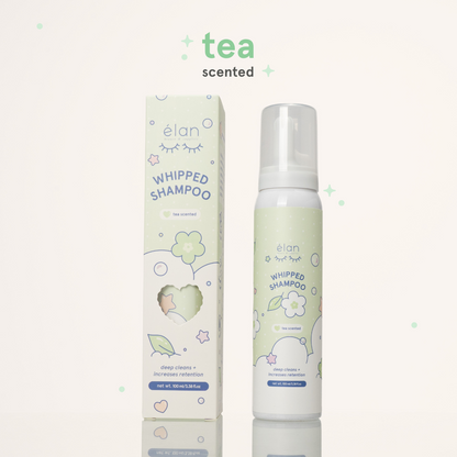 whipped lash shampoo