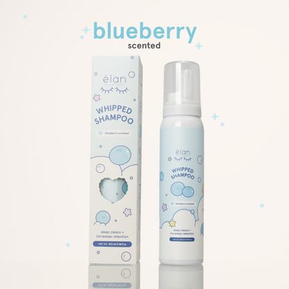 whipped lash shampoo