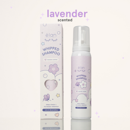 whipped lash shampoo