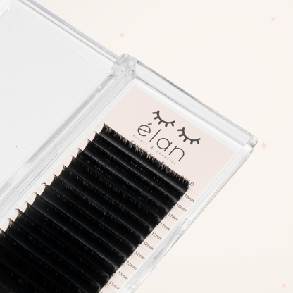 CAMELIA lashes