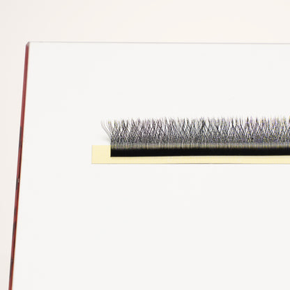 XL special YY lashes