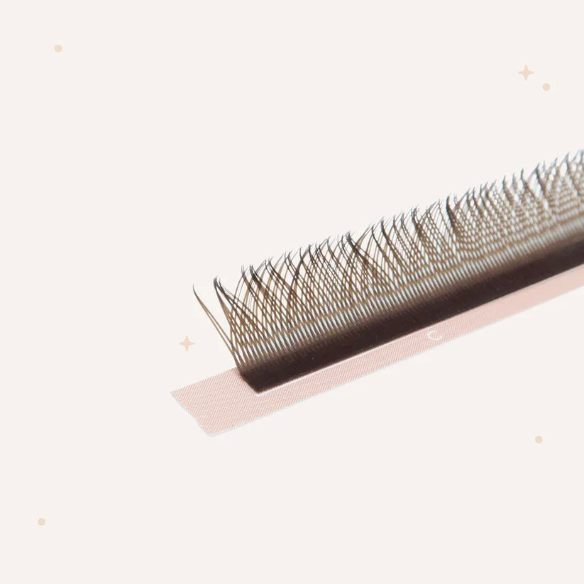 XL special YY lashes