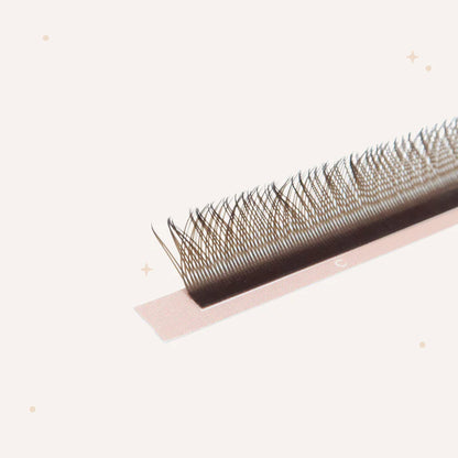 XL special YY lashes