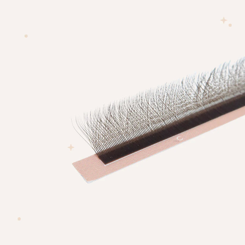 XL special YY lashes