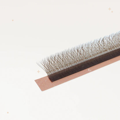 XL special YY lashes