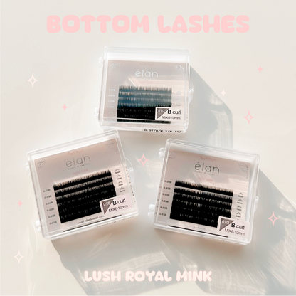 BOTTOM LASHES mini tray