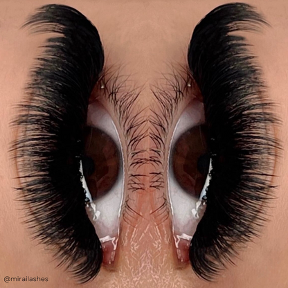 MINI TESTER TRAY- cashmere mink 💫