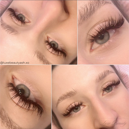 DARK BROWN color lashes